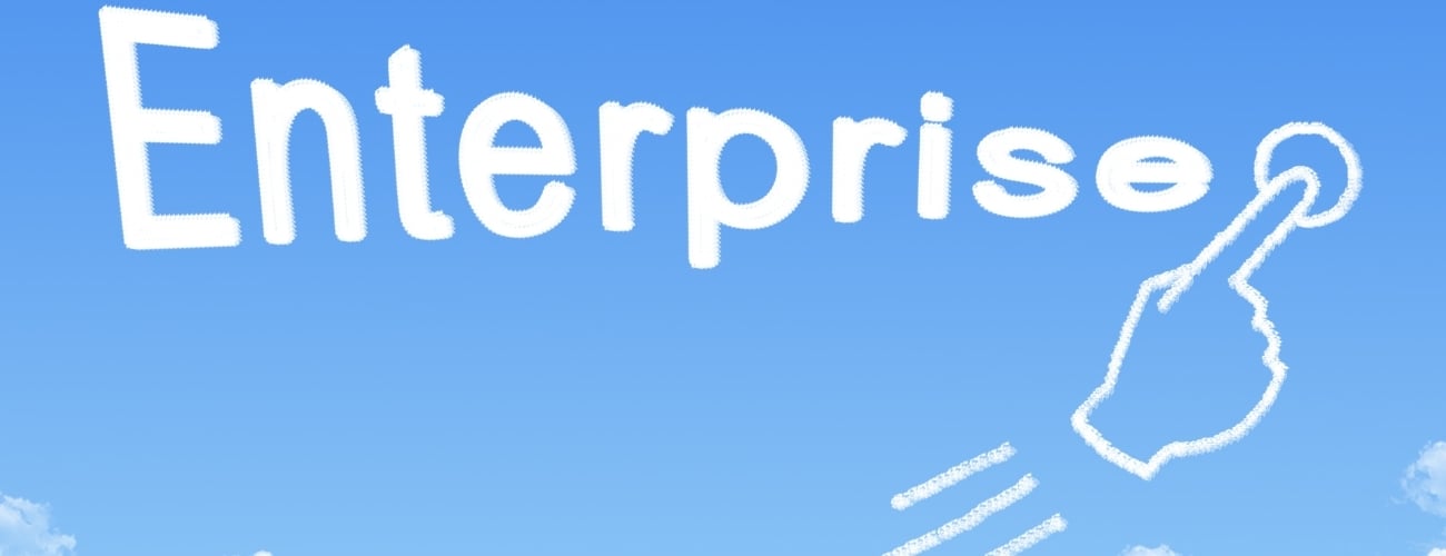 Vendite enterprise