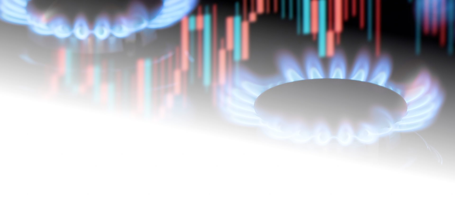 header_metamer